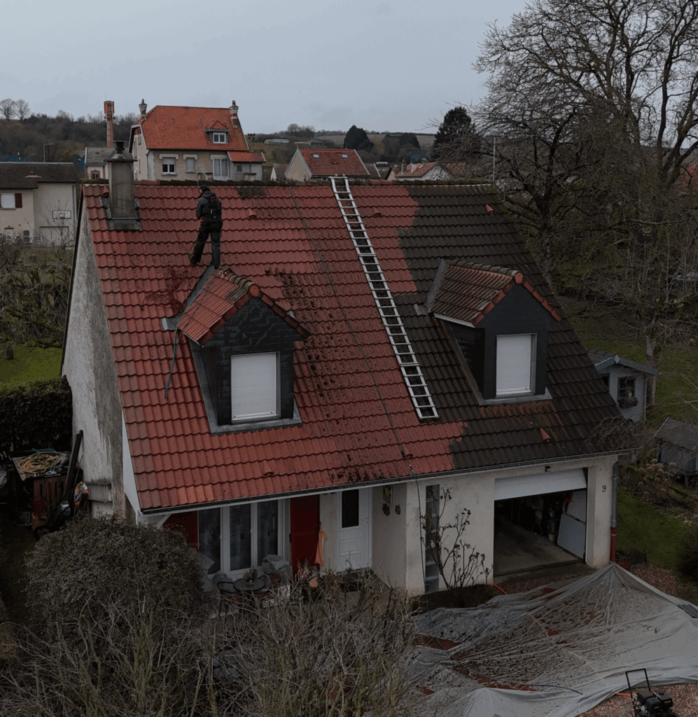 Démoussage